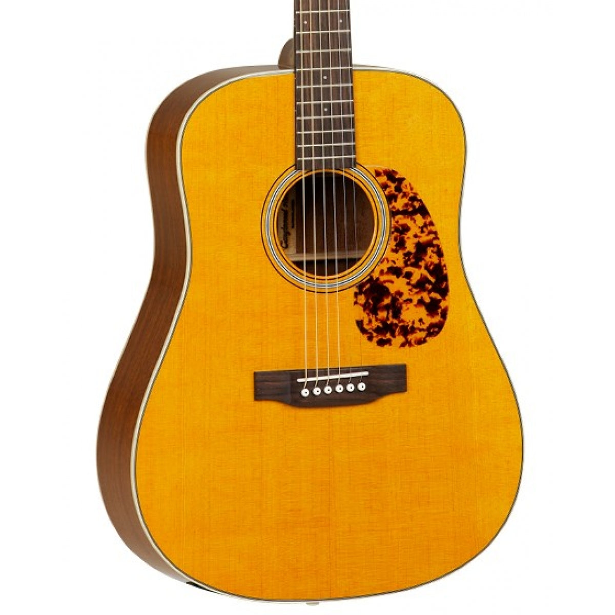 Tanglewood TW40DANE Sundance Historic Dreadnought Acoustic Guitar