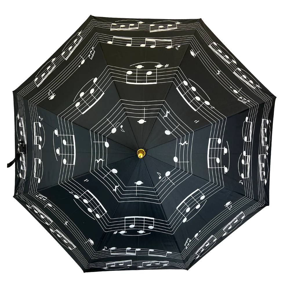 Walking Stick Umbrella