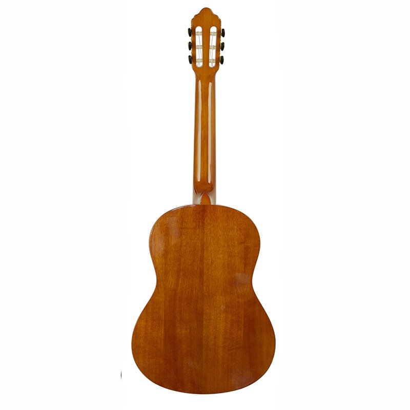 Valencia classical guitar 260 series