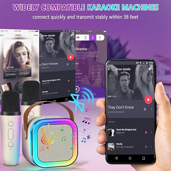 Karaoke Machine with 2 Mics