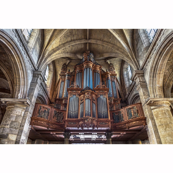 Cathedral Organ Greeting Card