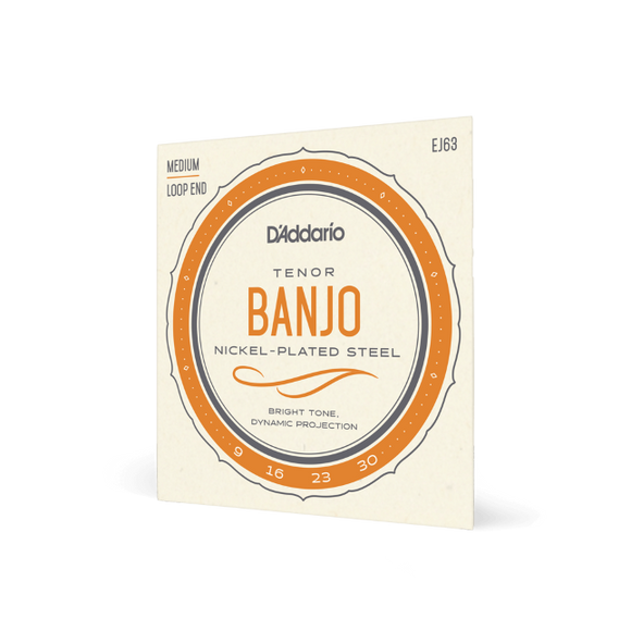 Tenor Banjo D'Addario 09-30 Medium, 4-String, Tenor, Nickel