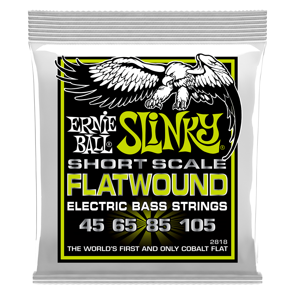 EB Slinky Cobalt Flatwound SS Bass Reg 45-105