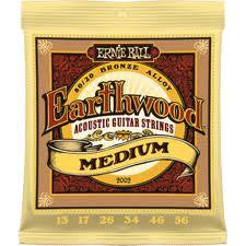 Ernie Ball Earthwood Acoustic Guitar Medium