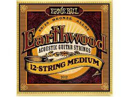 Ernie Ball Earthwood Acoustic 12-Str. Guitar Med.