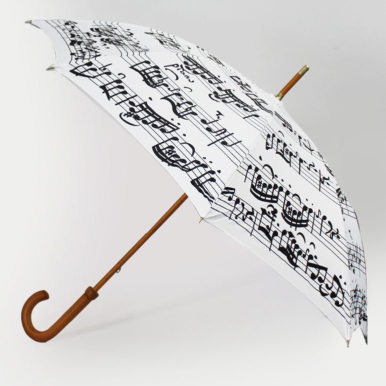 Walking Stick Umbrella, in two striking designs