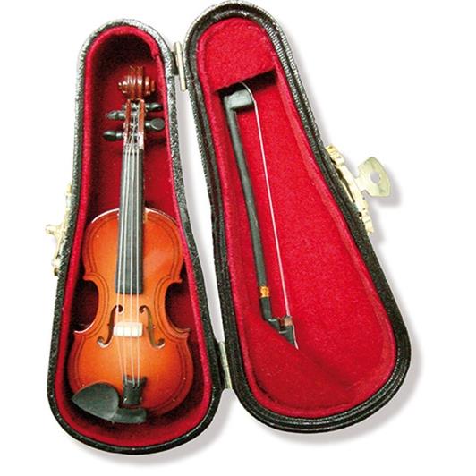 Mini Violin In Box