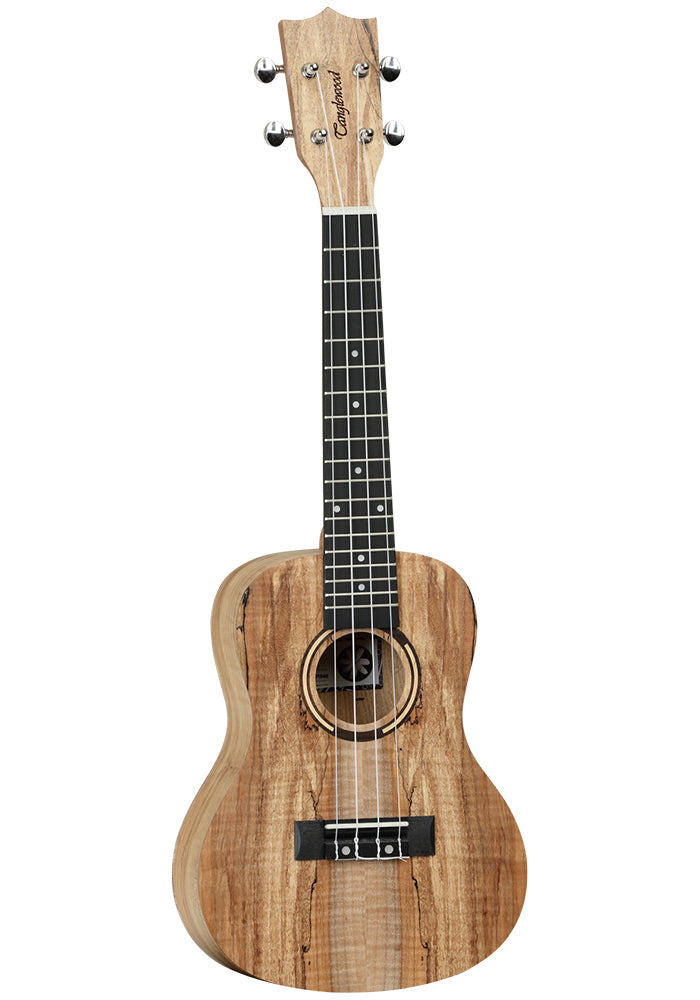 Tanglewood Tiare Series Concert Ukulele - Spalt Satin Finish (TWT10)