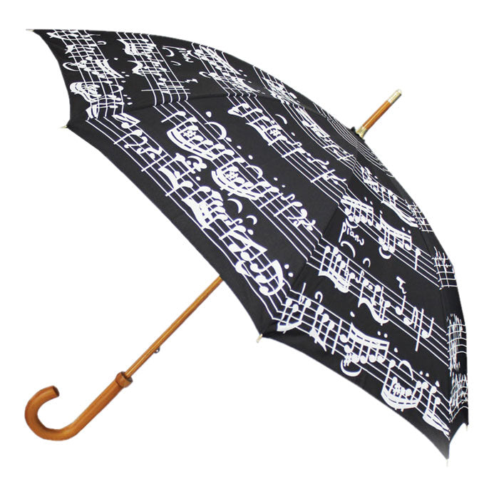 Walking Stick Umbrella, in two striking designs